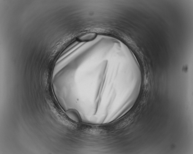 X0000115670201200912031404