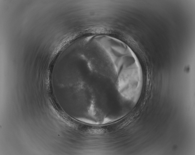 X0000115670202200912031404