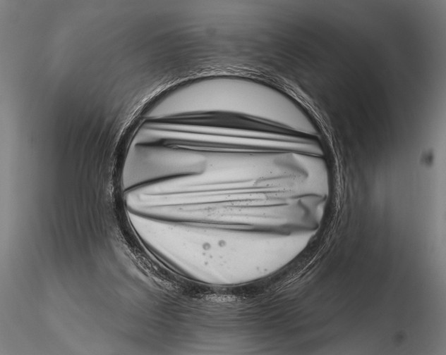 X0000115670203200912031404