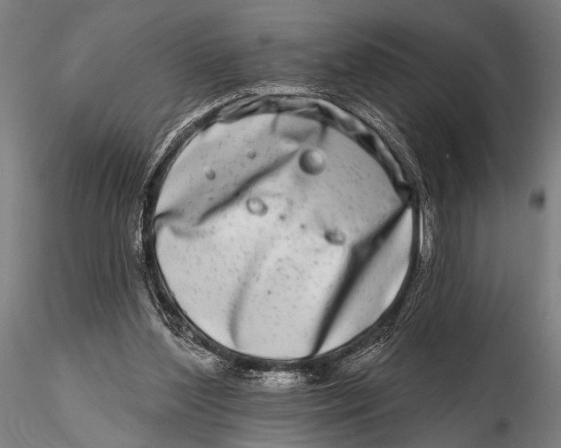 X0000115670204200912031404