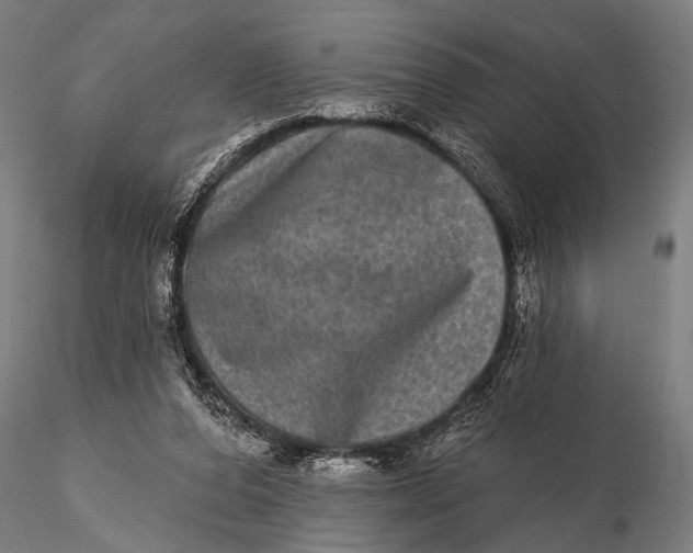 X0000115670208200912031404