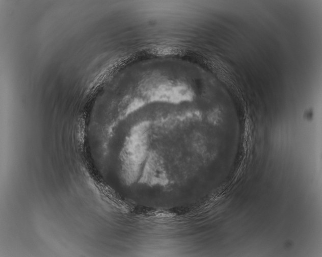 X0000115670210200912031404