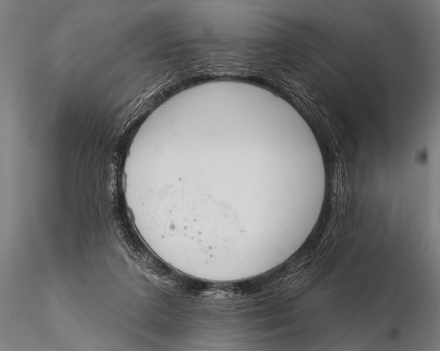 X0000115670211200912031404