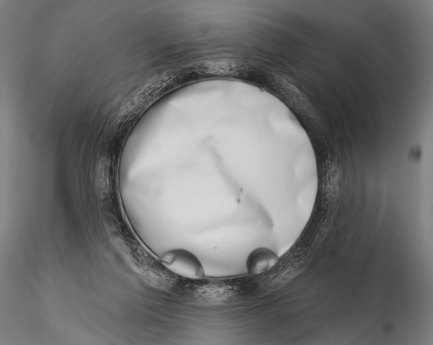 X0000115670213200912031404