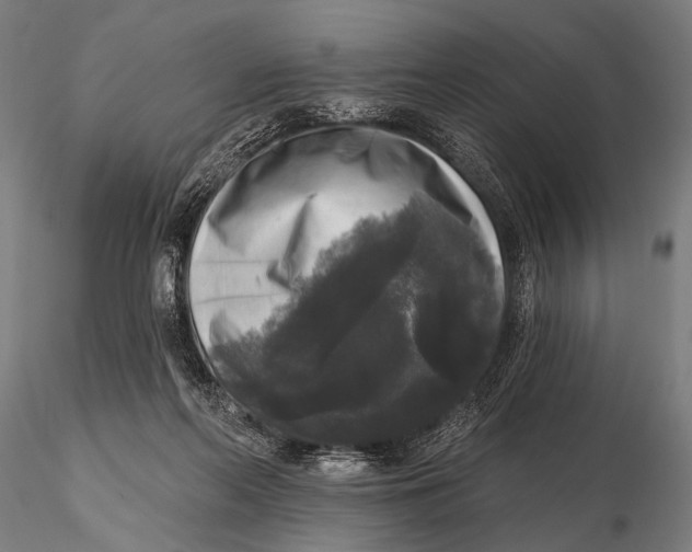 X0000115670214200912031404