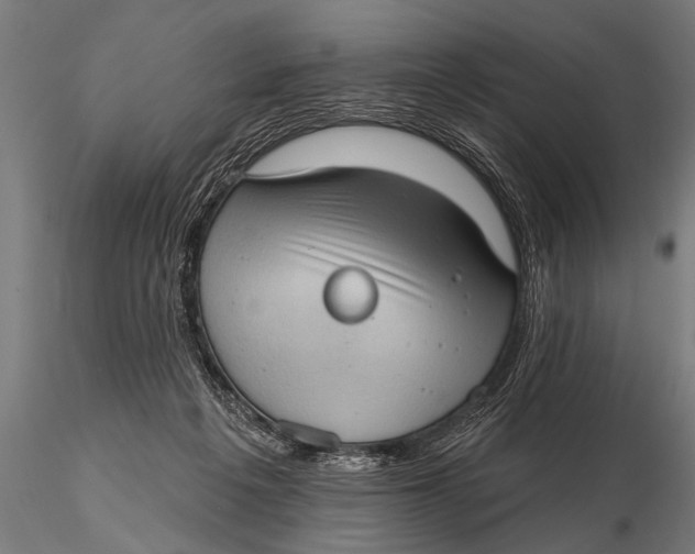 X0000115670217200912031404