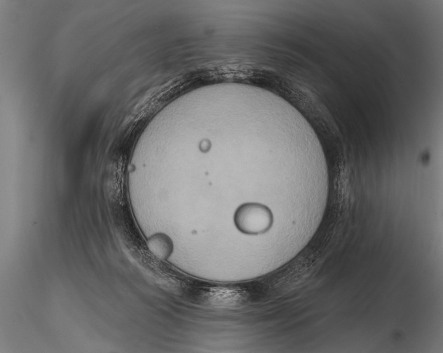 X0000115670218200912031404