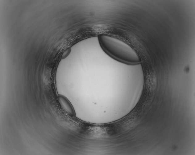 X0000115670221200912031404