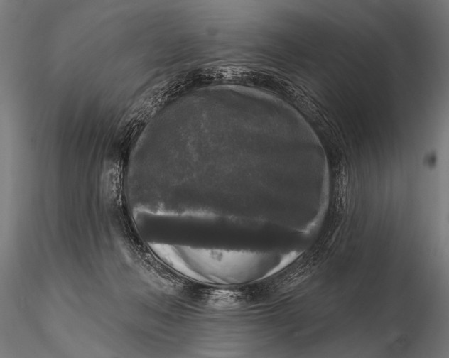 X0000115670222200912031404