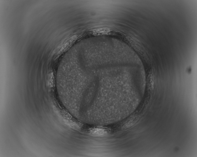 X0000115670224200912031404