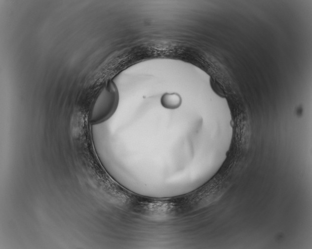 X0000115670225200912031404