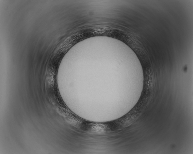 X0000115670226200912031404