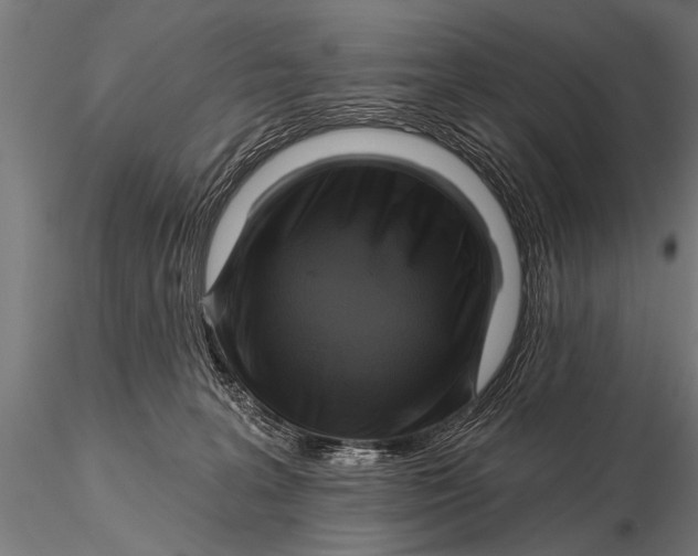 X0000115670227200912031403