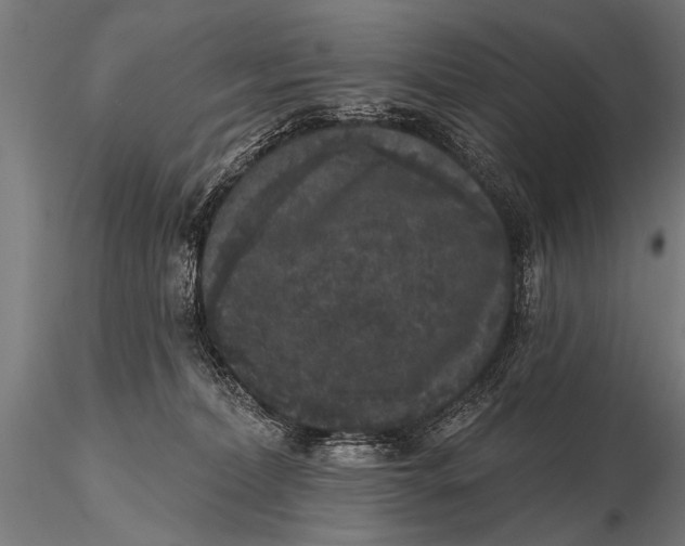 X0000115670228200912031403