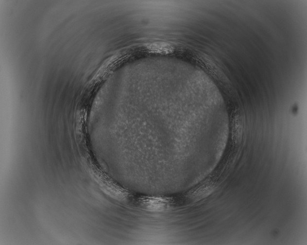 X0000115670229200912031403