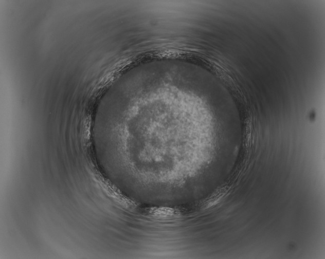 X0000115670230200912031403