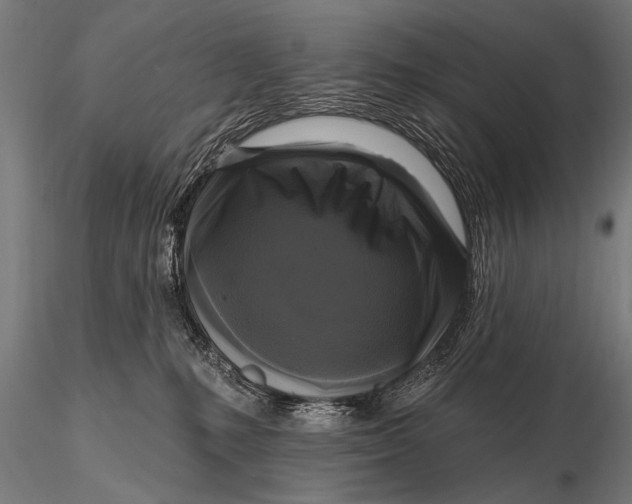 X0000115670231200912031403