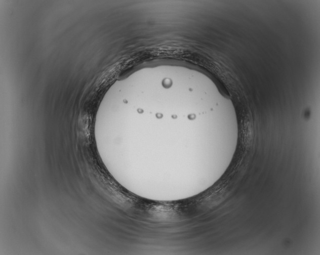 X0000115670232200912031403