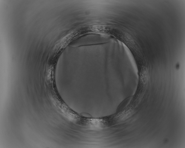 X0000115670233200912031403