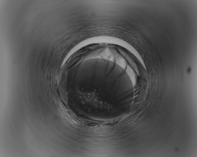 X0000115670235200912031403