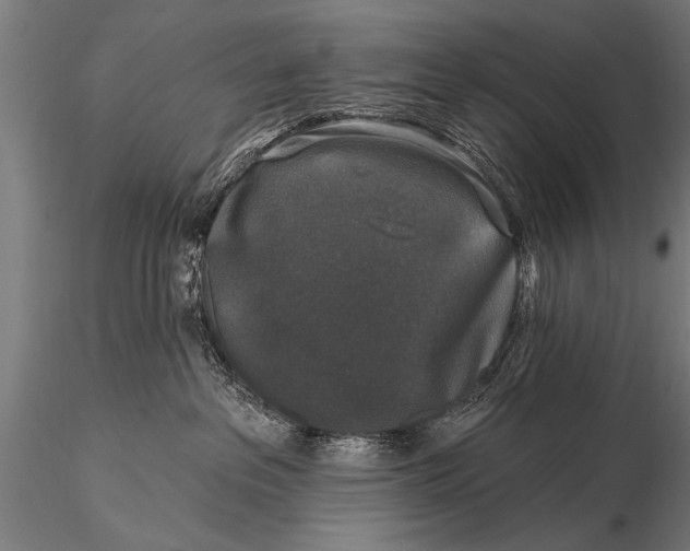 X0000115670237200912031403