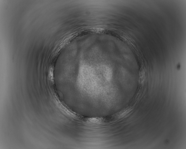 X0000115670238200912031403