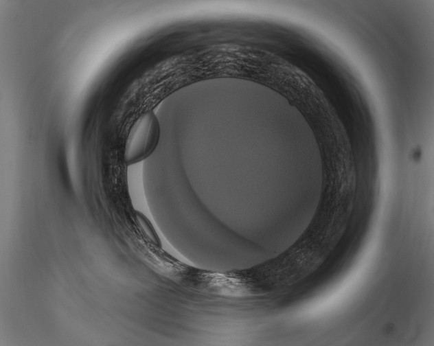 X0000115670239200912031403