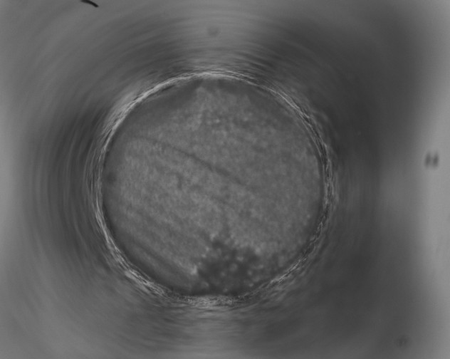 X0000115670241200912031403