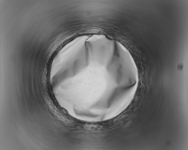 X0000115670242200912031403