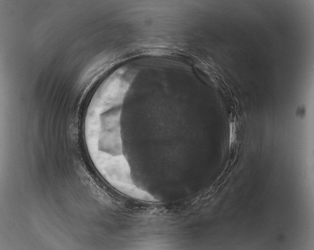 X0000115670243200912031403