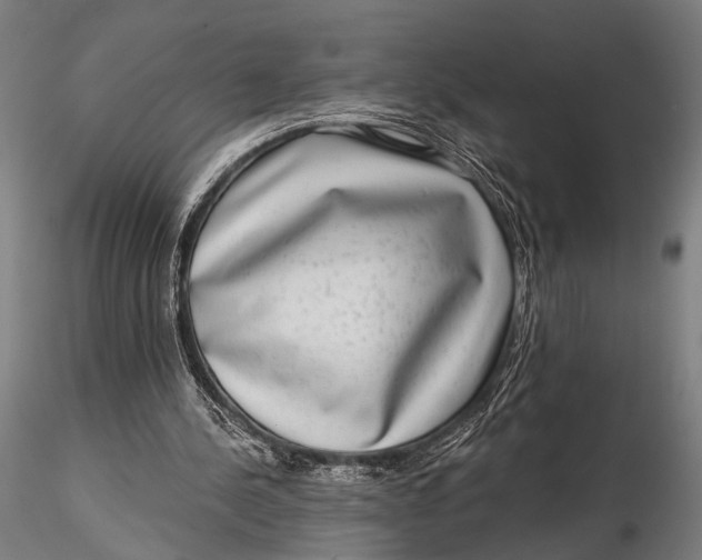 X0000115670244200912031403