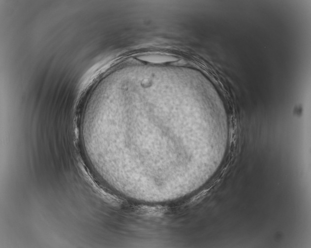 X0000115670245200912031403