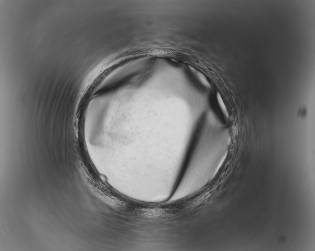 X0000115670246200912031403