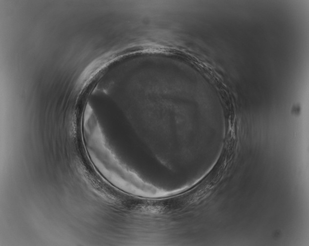 X0000115670247200912031403