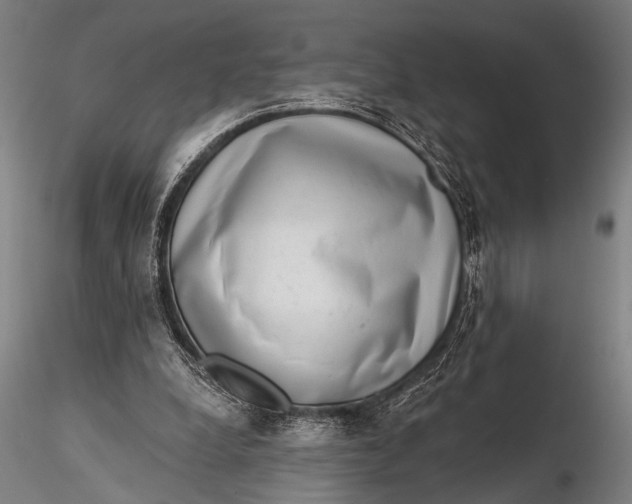 X0000115670248200912031403