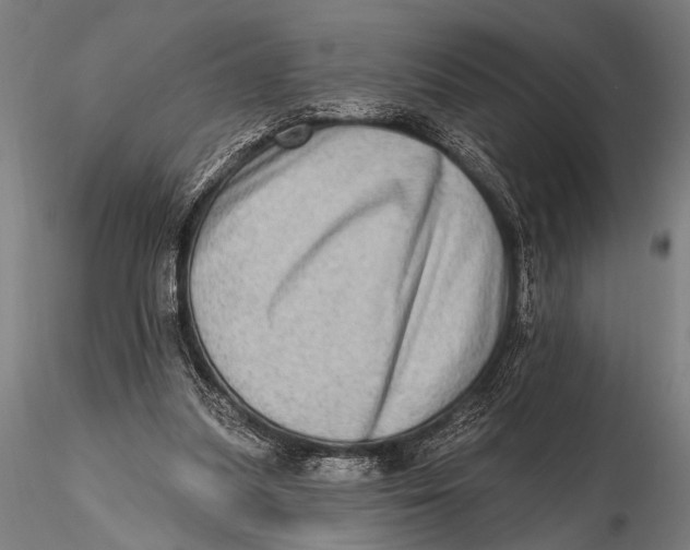 X0000115670251200912031403