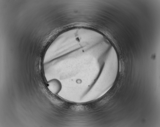 X0000115670253200912031403