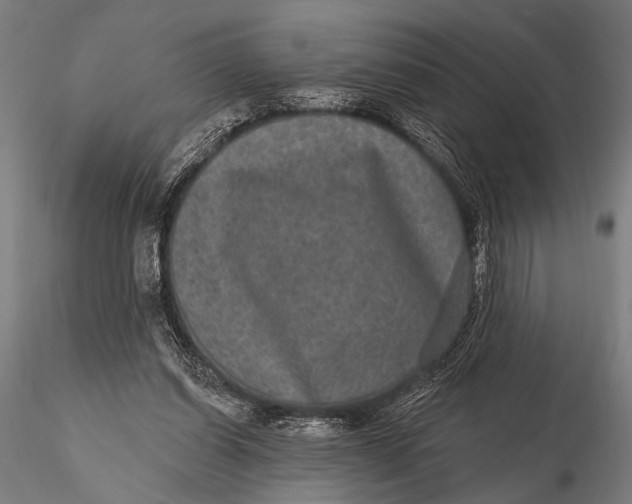 X0000115670254200912031403