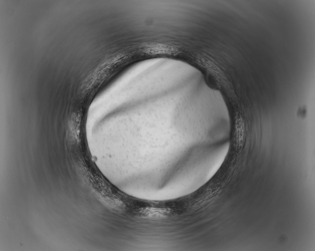 X0000115670255200912031403