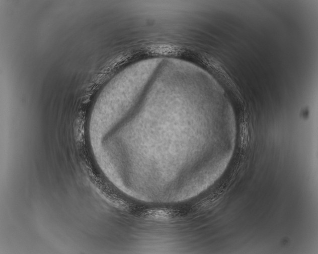 X0000115670259200912031403