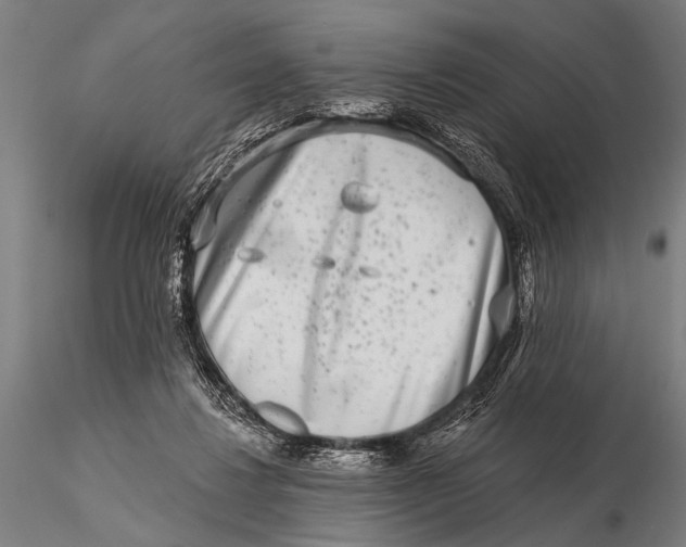 X0000115670260200912031403