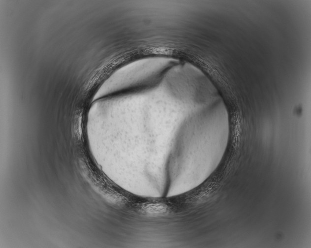 X0000115670262200912031403