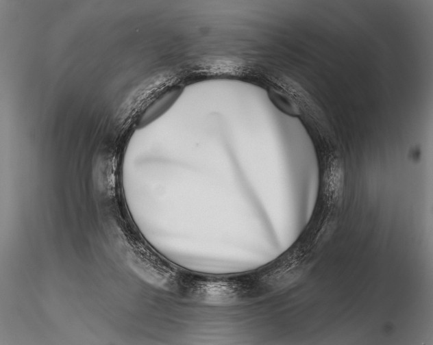 X0000115670264200912031403