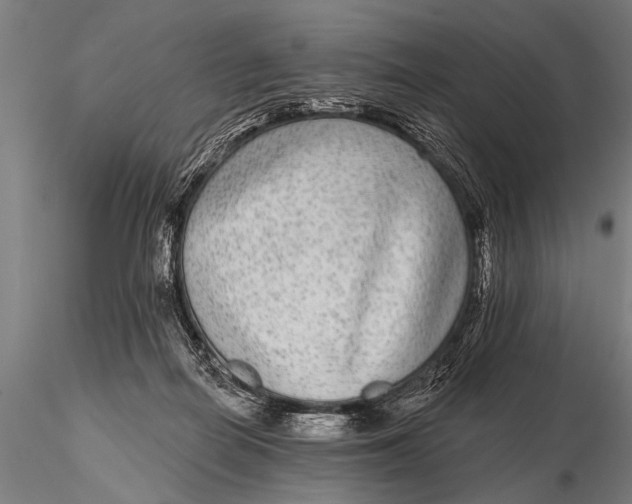 X0000115670266200912031403