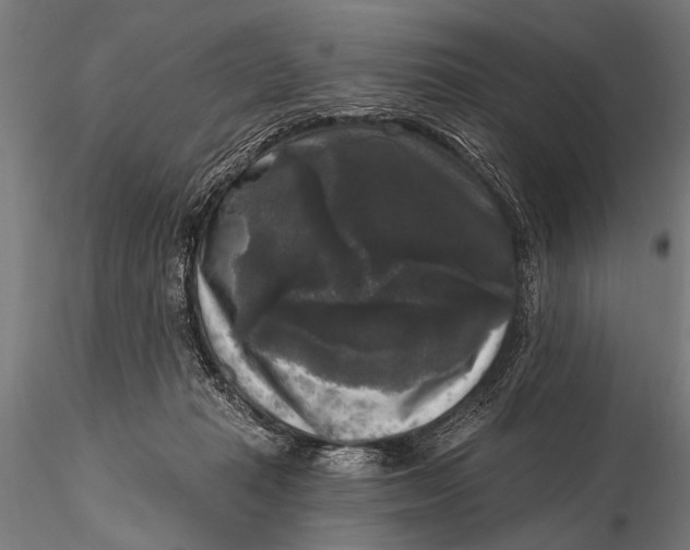 X0000115670269200912031403