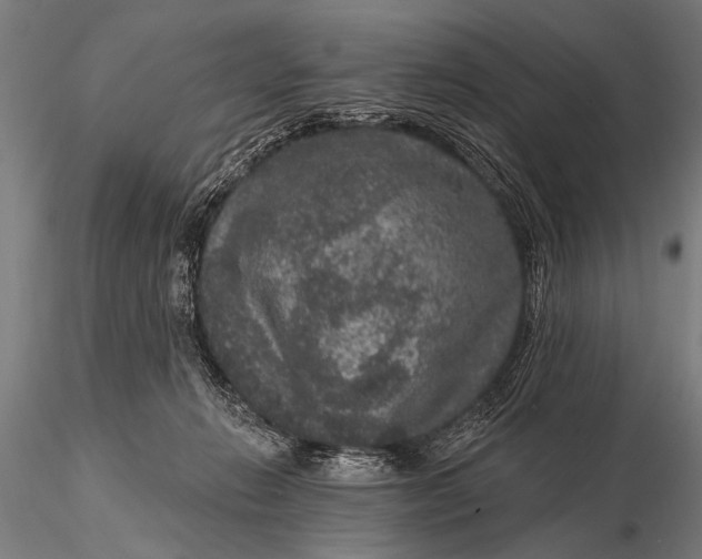 X0000115670270200912031403