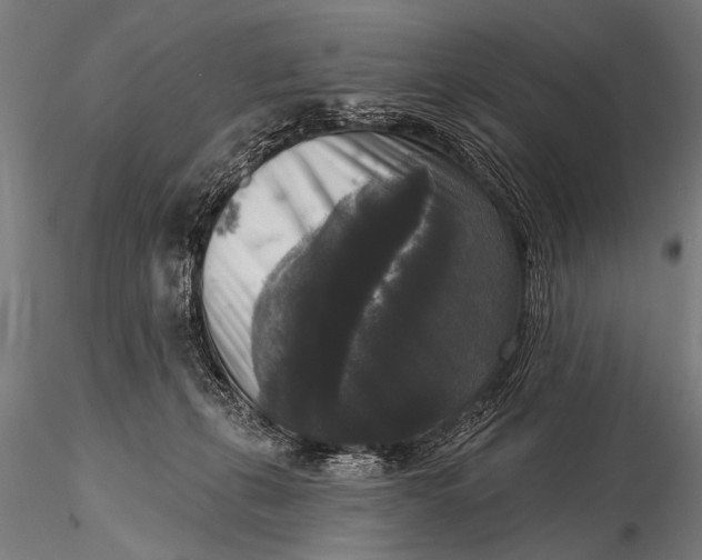 X0000115670271200912031403