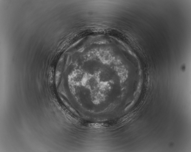 X0000115670273200912031403