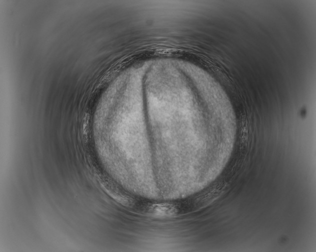 X0000115670275200912031403