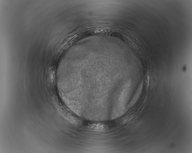 X0000115670276200912031403